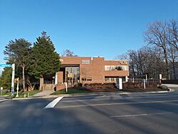 Merrifield Pediatric Dentistry and Avery Hess Realtors.jpg