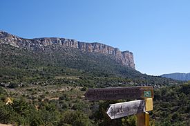 Montsec de l'Estall.jpg