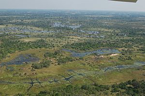 Archivo:Okavango Delta, Botswana (2814015836)