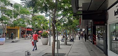 Peatonal Rivadavia, ciudad de San Juan, Argentina
