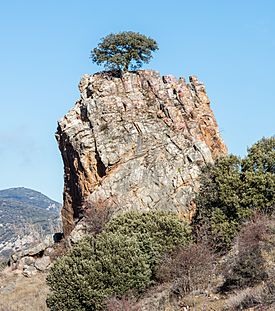 Piedra del Tormo, Fombuena, Zaragoza, España, 2017-01-04, DD 56.jpg