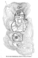 Plano de Marcahuamachuco Wiener