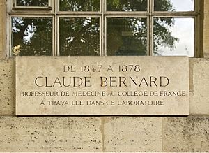 Archivo:Plaque Claude Bernard laboratoire