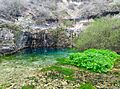 Pozo Azul. Covanera. Descarga kárstica que desemboca en el río Rudrón.