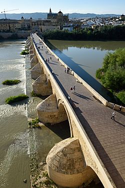 Puente Romano of Córdoba Spain.jpg