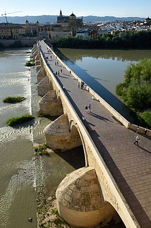 Archivo:Puente Romano of Córdoba Spain
