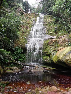 Archivo:Quebrada San Bernardo