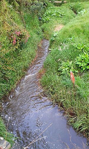 Archivo:Río Guadalupe recién nacido en Santa Rosa de Osos