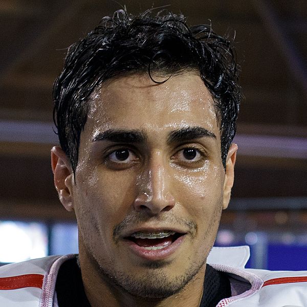 Sajjad Mardani