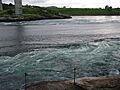 Saltstraumen