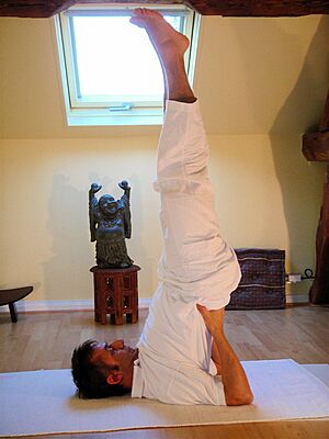 Archivo:Sarvangasana