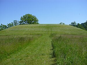Archivo:Seip Earthworks Hopewell Culture NHP NPS
