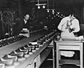 Shoe Factory (USIS pix) - DPLA - 5a4ec2008dc0daf0cd5fbc95bfe66a5e