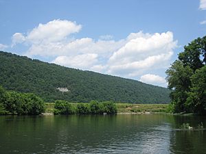 Archivo:South Branch Potomac River Romney WV 2008 06 22 01