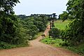 Tobuna, Provincia de Misiones, Argentina 03
