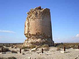 Torre de Cerrillos1.JPG