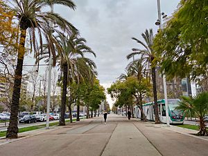 Tramvia a la Rambla de La Mina