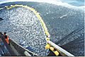 Trawlers overfishing cod