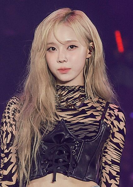241005 Winter K-Link Festival 02