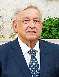 Archivo:Andrés Manuel López Obrador 2020