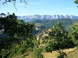 Aristot con la Sierra del Cadí al fondo.