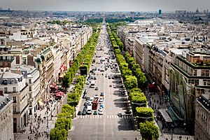 Archivo:Avenue des Champs-Élysées July 24, 2009 N1