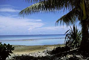 Archivo:Beach on Fongafale Islet
