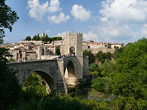 Archivo:Besalú - dynamosquito