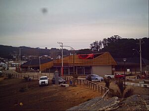 Archivo:Caleta curanipe