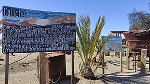 Archivo:Caliche-humberstone