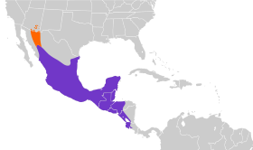 Distribución geográfica del mosquerito imberbe.