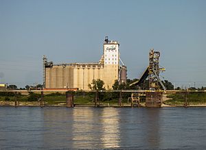 Archivo:Cargill and grain elevator in East St. Louis