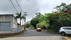 Carretera PR-171, Cayey, Puerto Rico.jpg