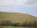 Cerne Abbas Giant View