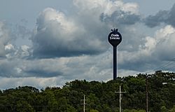 City of Cold Spring, Minnesota - Water Tower (28818830483).jpg