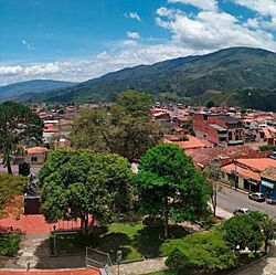 Cordero-tachira-1-.jpg