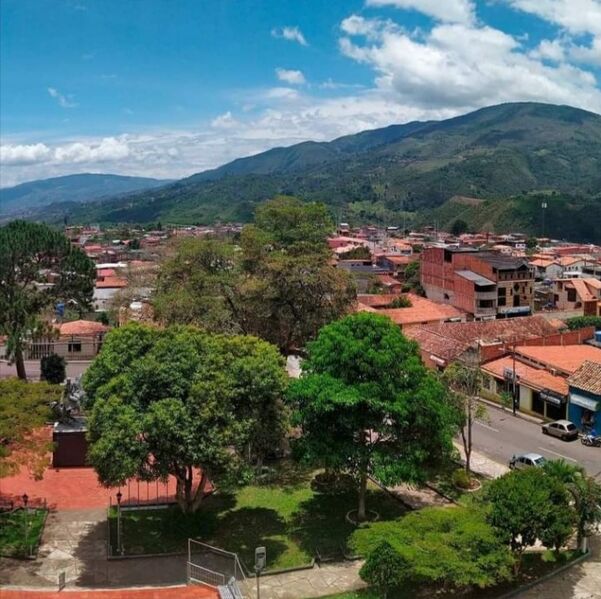Cordero-tachira-1-