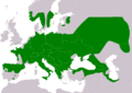 CoronellaAustriacaIUCNver2020-1