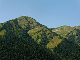 Era Entecada para Niños