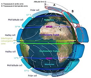 Archivo:Earth Global Circulation
