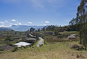 Archivo:Flores Calle 2 seen from the northeast from the hill
