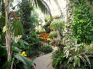 Archivo:Gaiser Conservatory (Manito Park) - IMG 6982