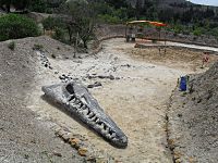Archivo:Gondava Plesiosaurio Excavación Simulación