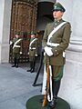 Guardiadepalacio5