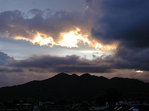 Archivo:Huitepec