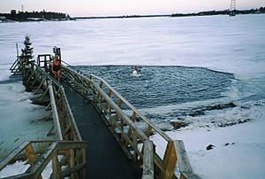 Archivo:Icehole