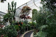 Archivo:Inside Palm House