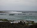 KodiEastcoastSumba