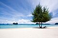 Koh Ngai 07