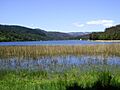 Laguna quiñenco